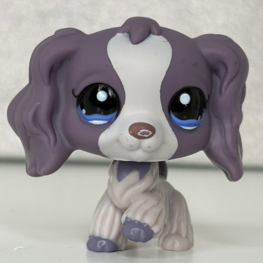 LPS Purple  Cocker Spaniel Dog #672