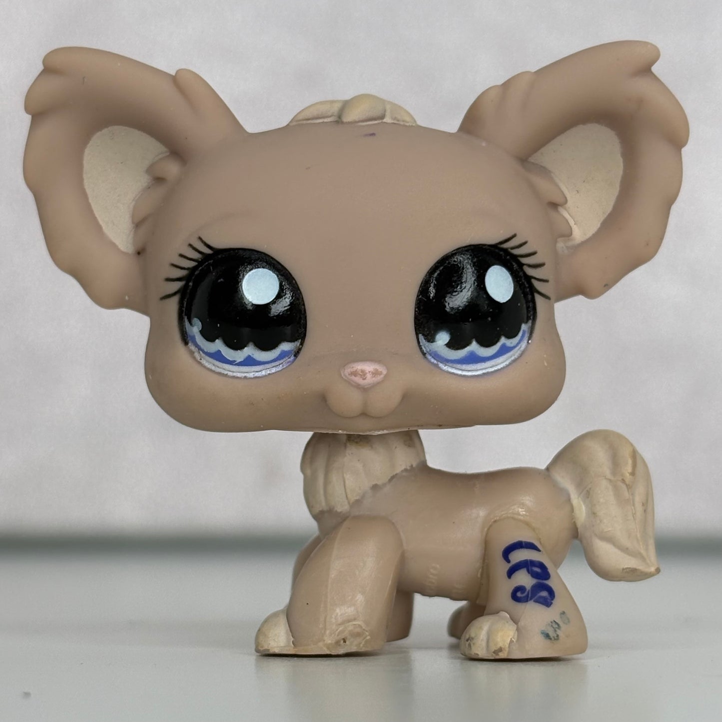 LPS Chihuahua Dog
