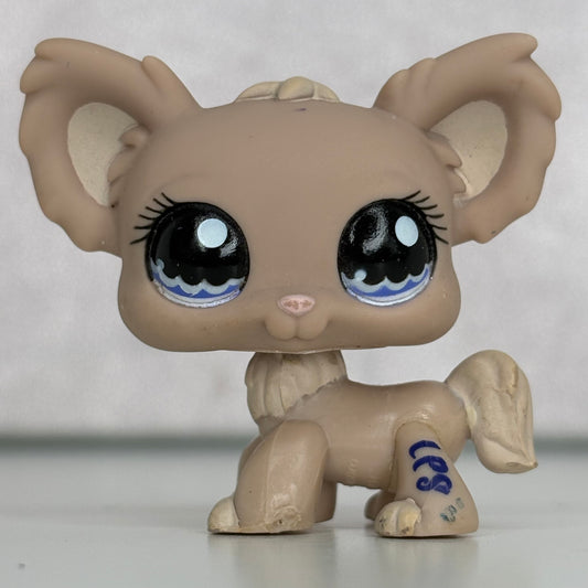 LPS Chihuahua Dog