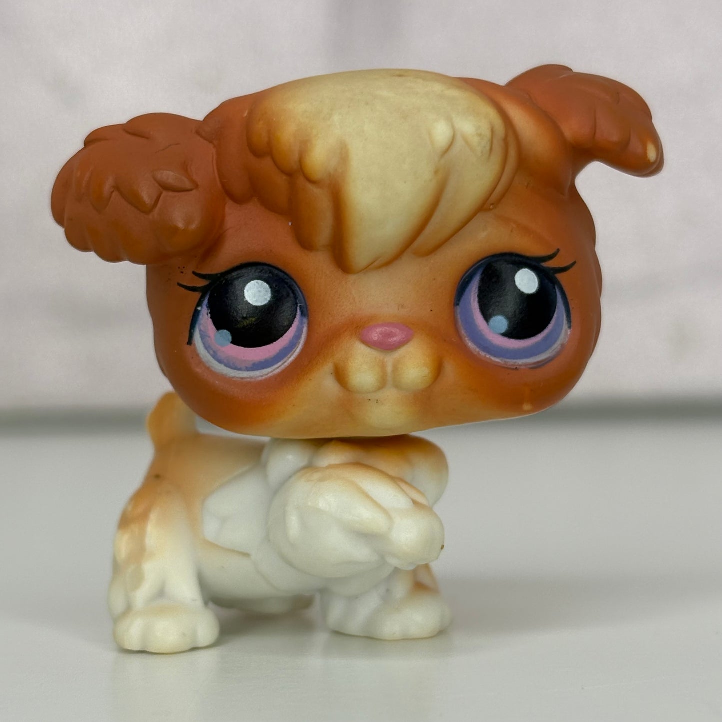 LPS Poodle Dog #591