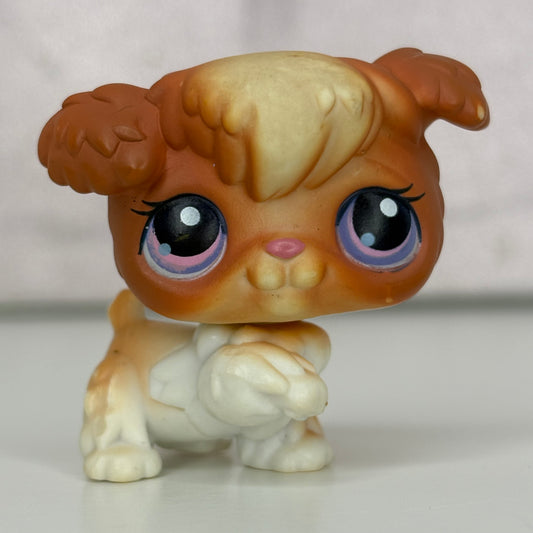 LPS Poodle Dog #591