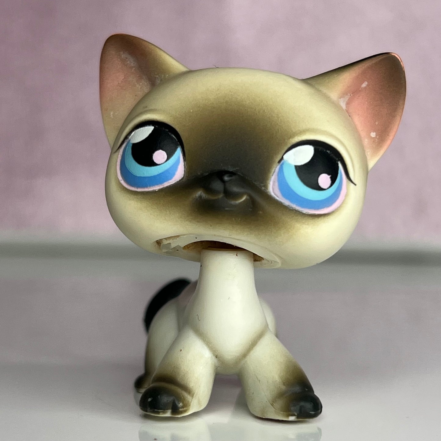 LPS Siamiese Shorthair Cat #5