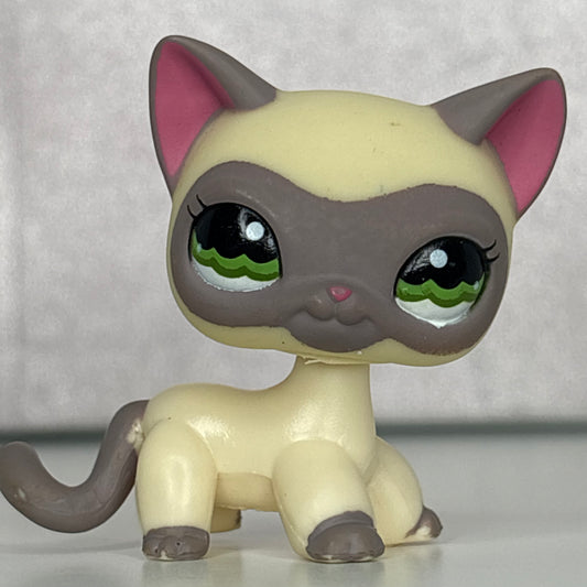 LPS Siamese Shorthair Cat #1116