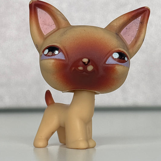 LPS Chihuahua Dog #1***