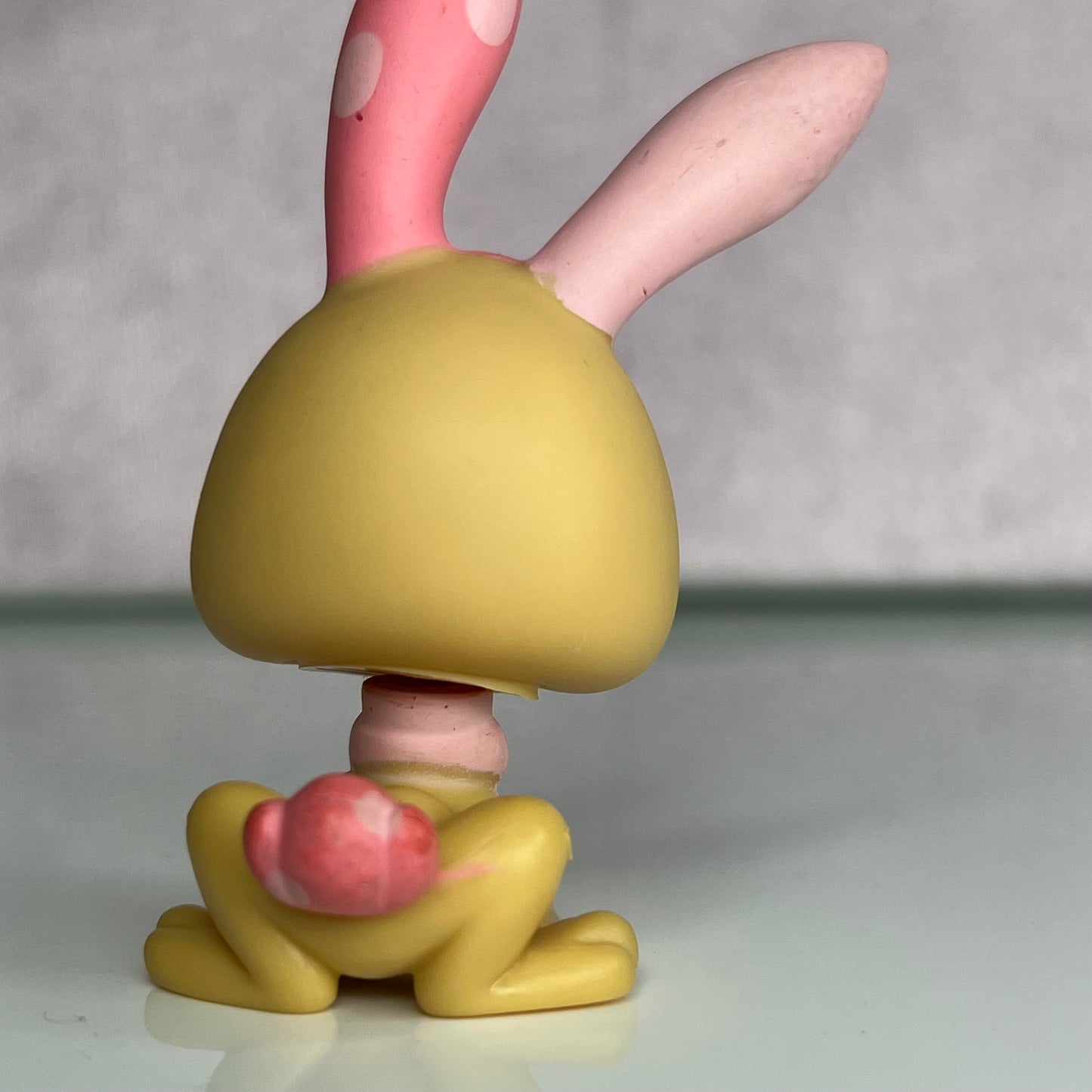 LPS Rabbit #506