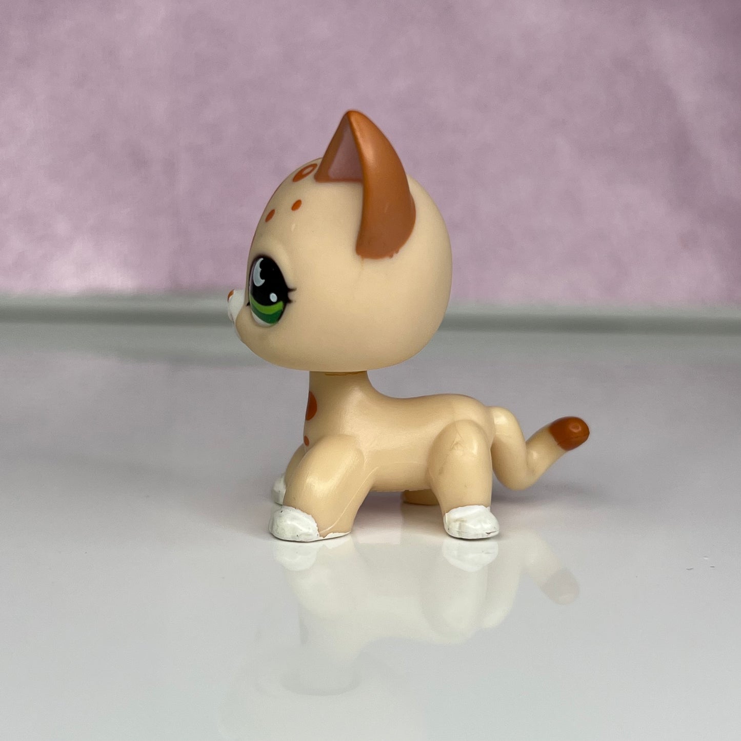 LPS Leopard Shorthair Cat #852